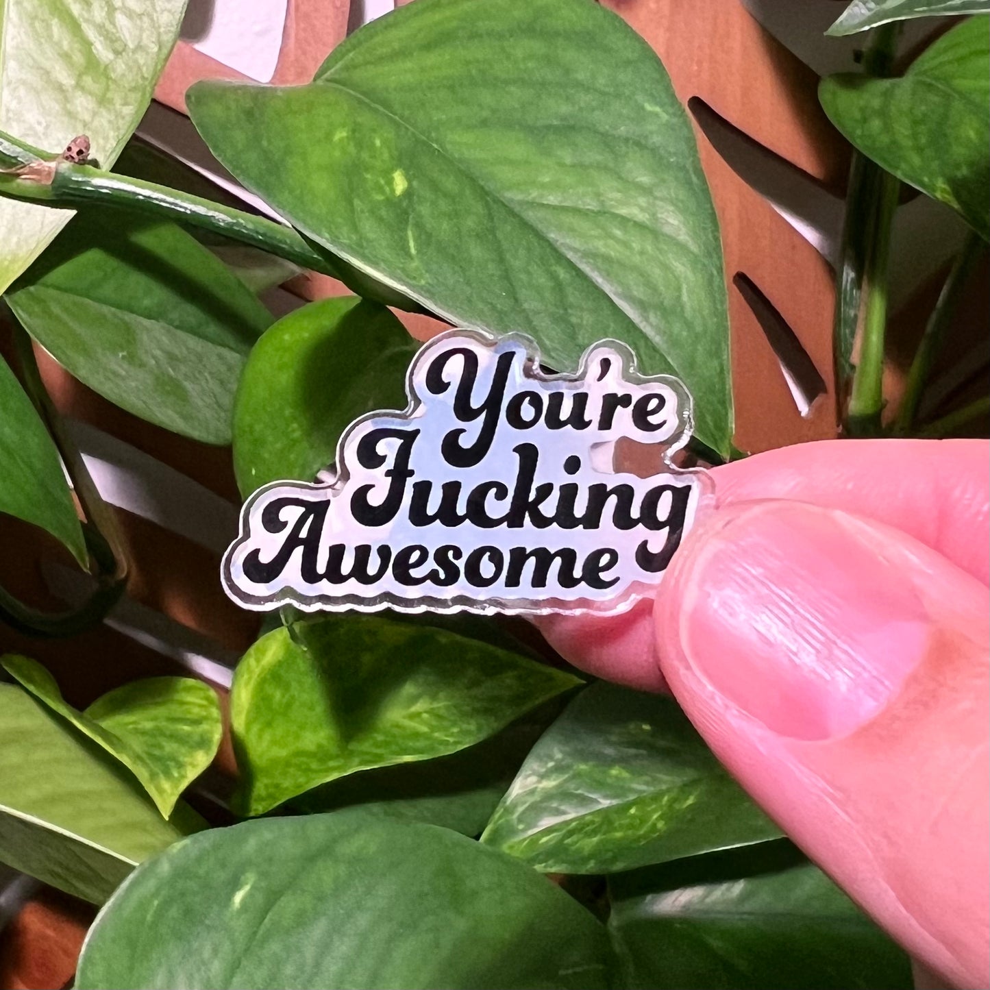 You're Fucking Awesome Acrylic Pin