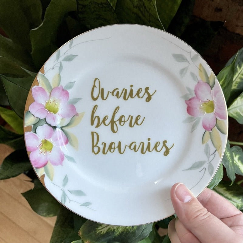 Ovaries Before Brovaries Vintage Floral Noritake Plate