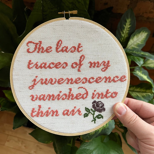 The Last Traces Of My Juvenescence 7” Hand Stitched Cross Stitch Hoop